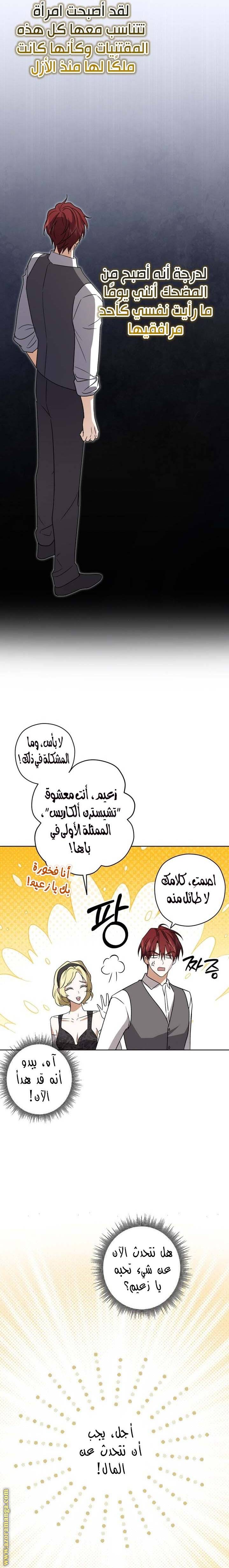 الصفحة 13