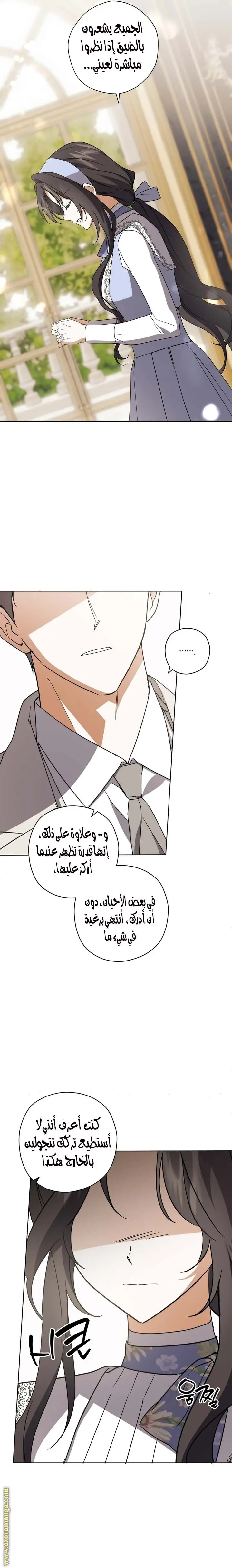 الصفحة 17