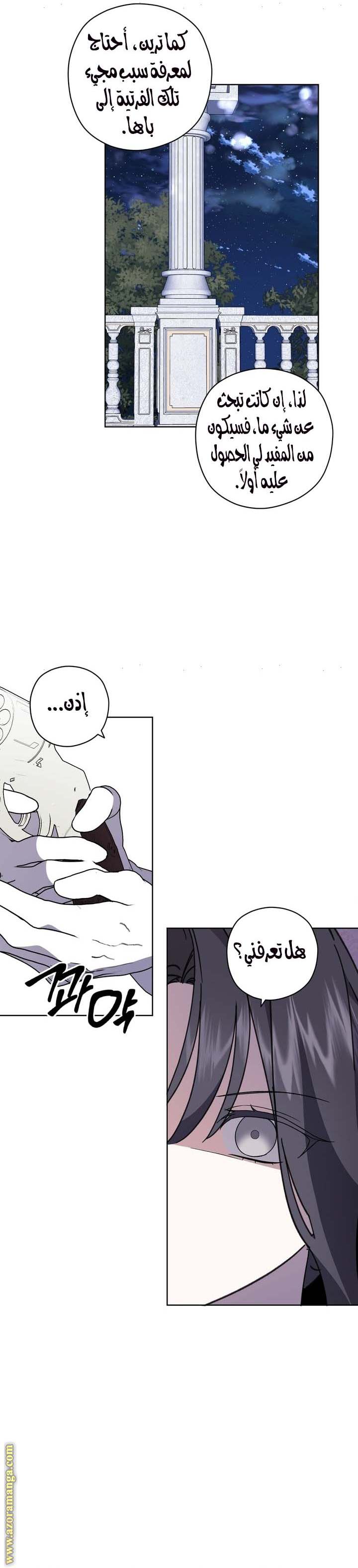 الصفحة 19