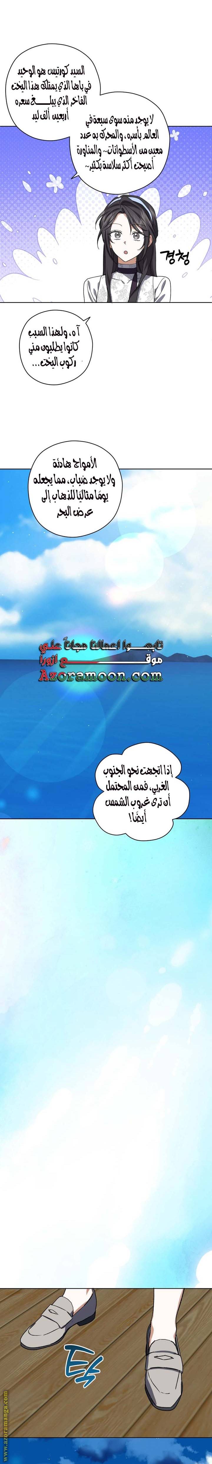 الصفحة 17