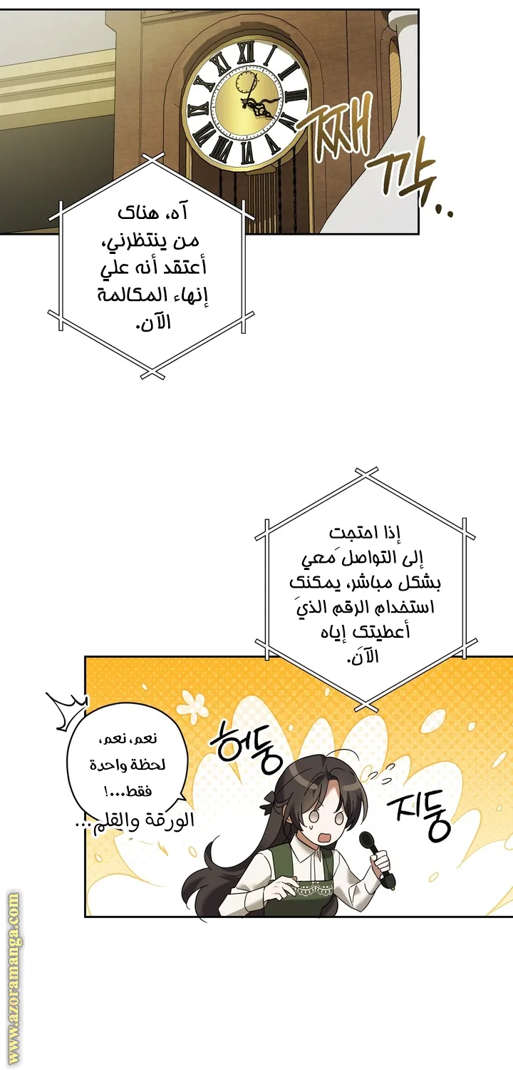 الصفحة 19