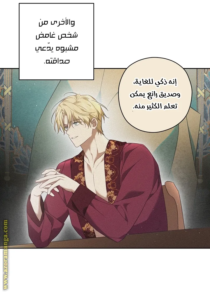 الصفحة 29