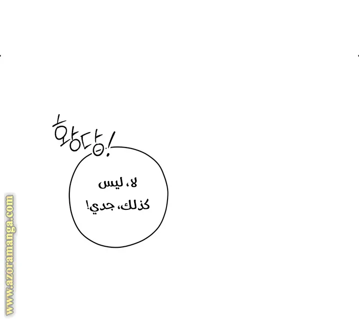 الصفحة 41