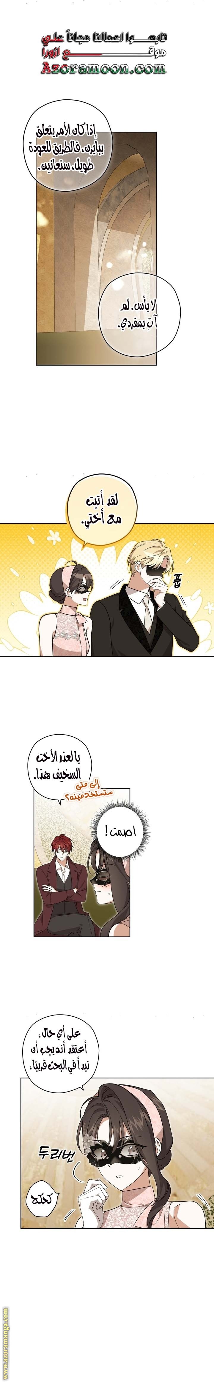 الصفحة 17