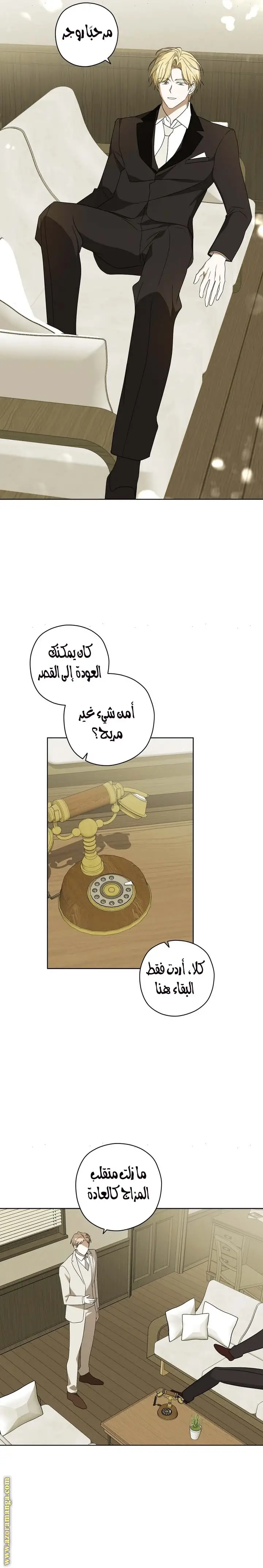 الصفحة 18
