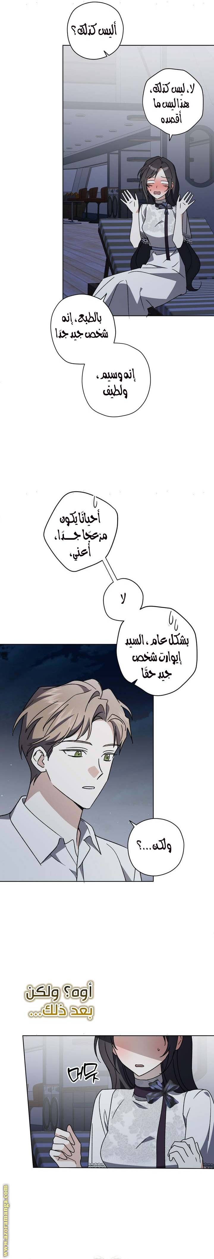 الصفحة 17