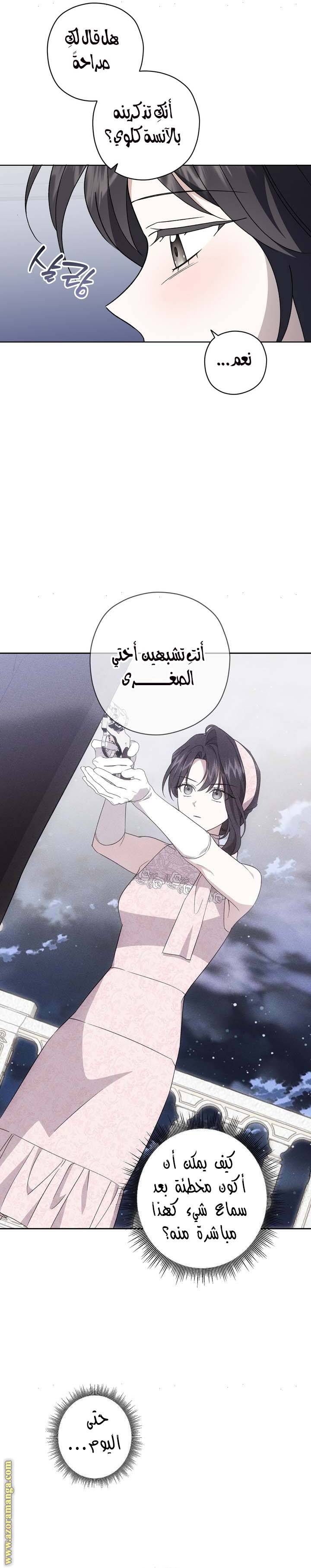 الصفحة 19