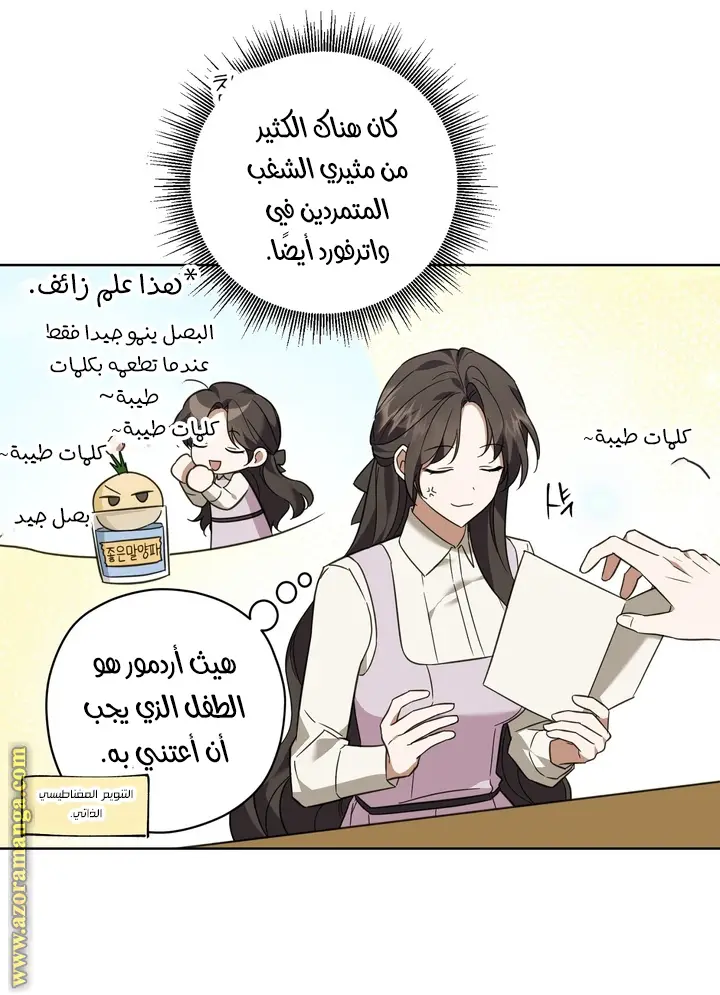 الصفحة 27