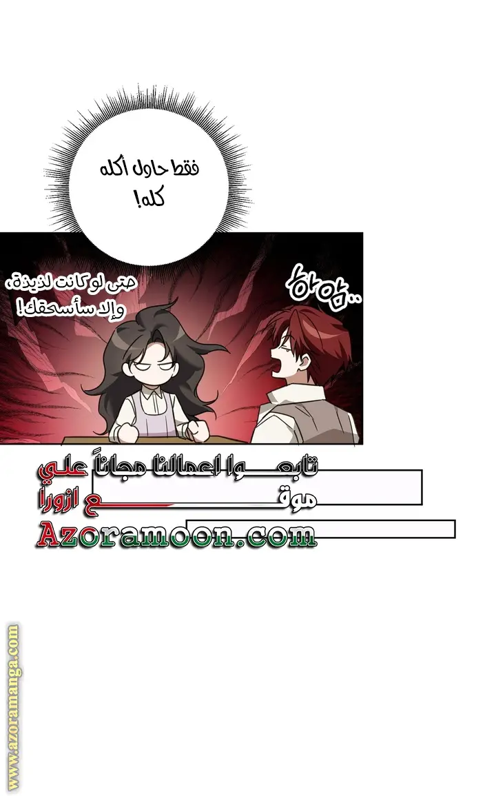 الصفحة 29