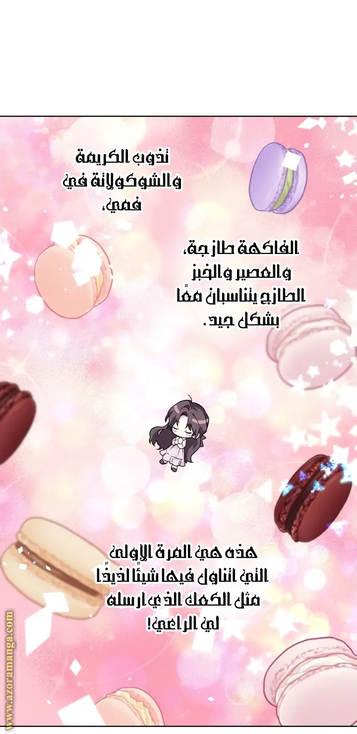 الصفحة 31