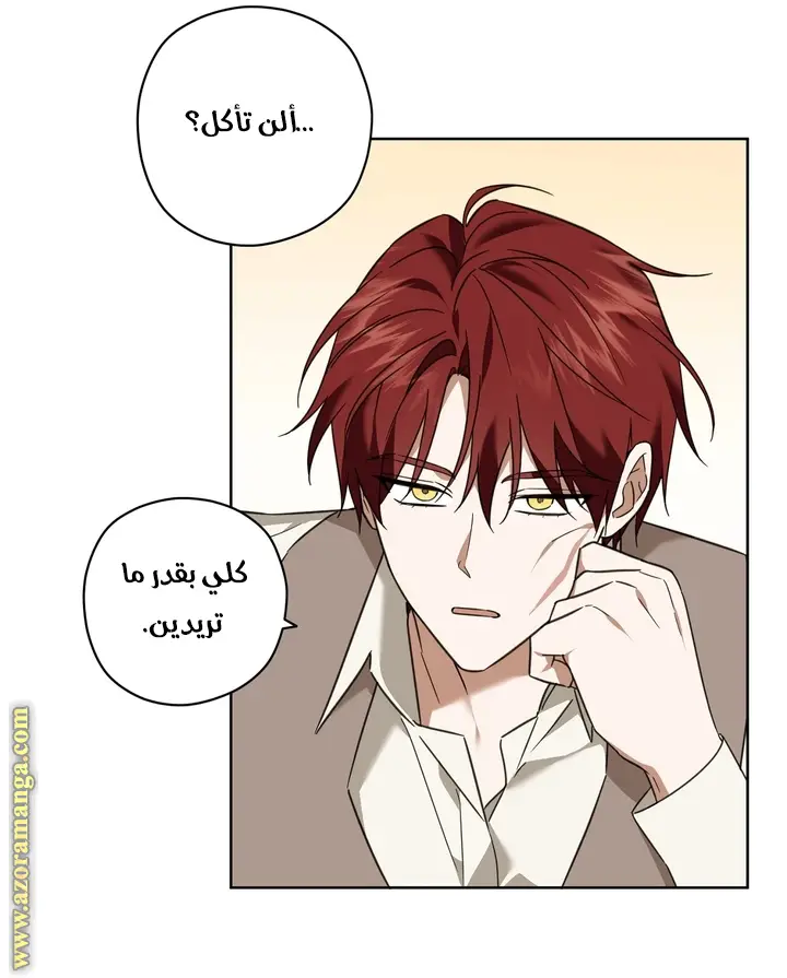 الصفحة 33