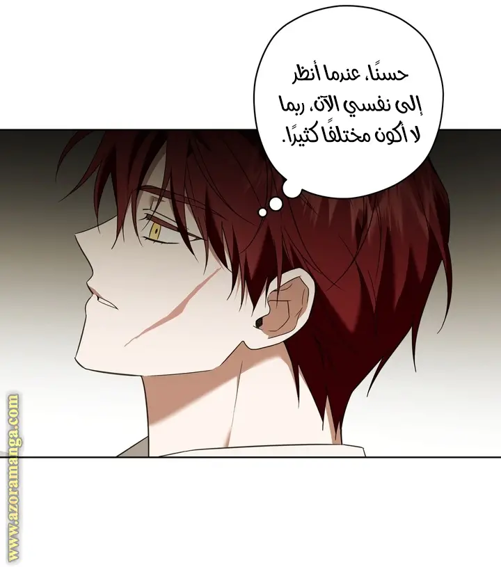 الصفحة 53