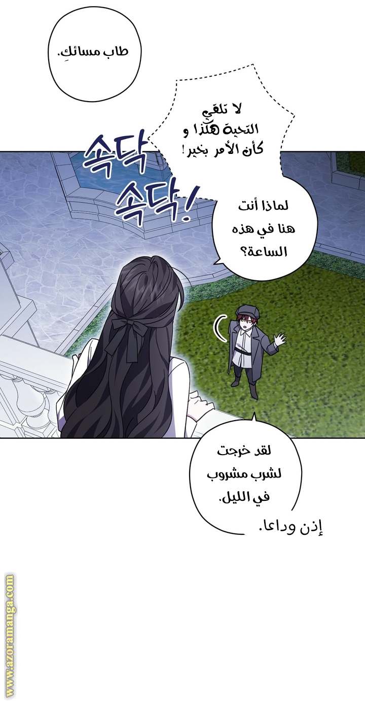 الصفحة 41