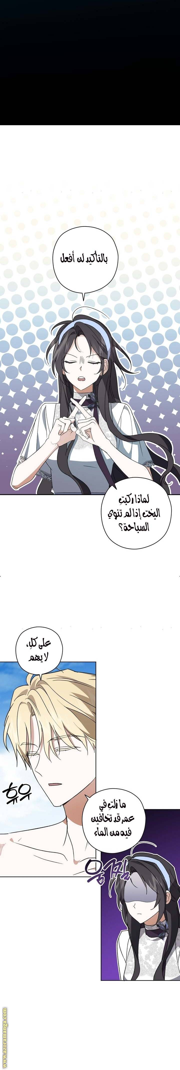 الصفحة 17