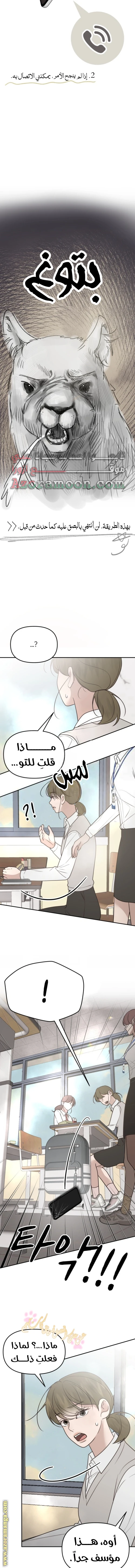 الصفحة 15