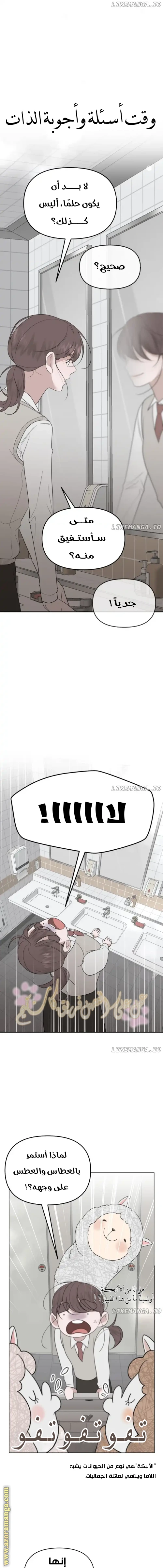 الصفحة 6