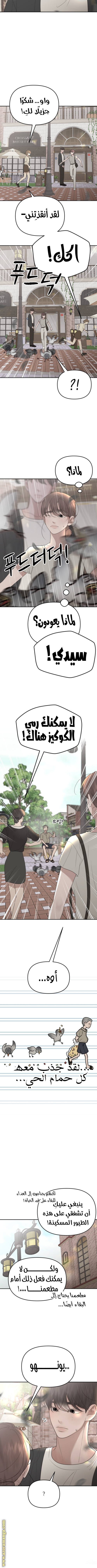 الصفحة 5