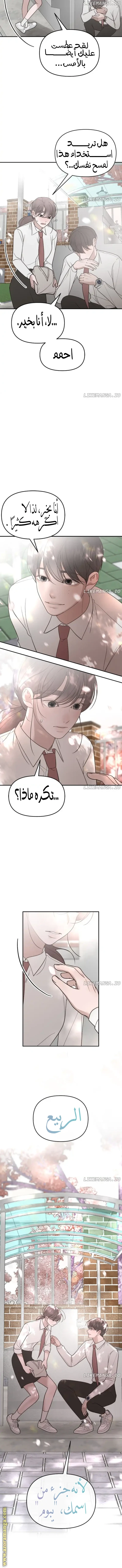 الصفحة 17