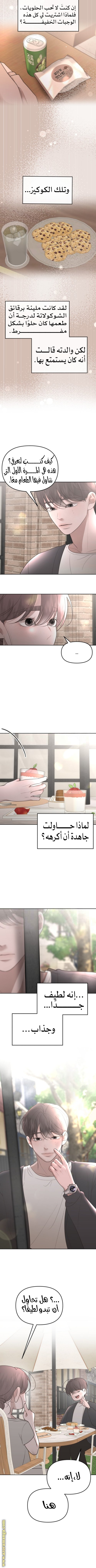 الصفحة 8