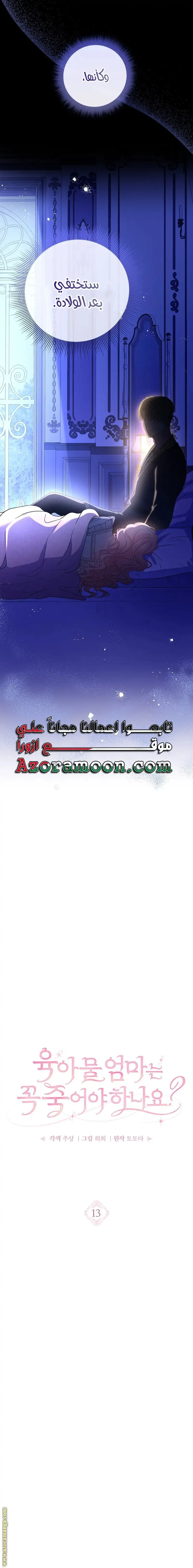 الصفحة 17