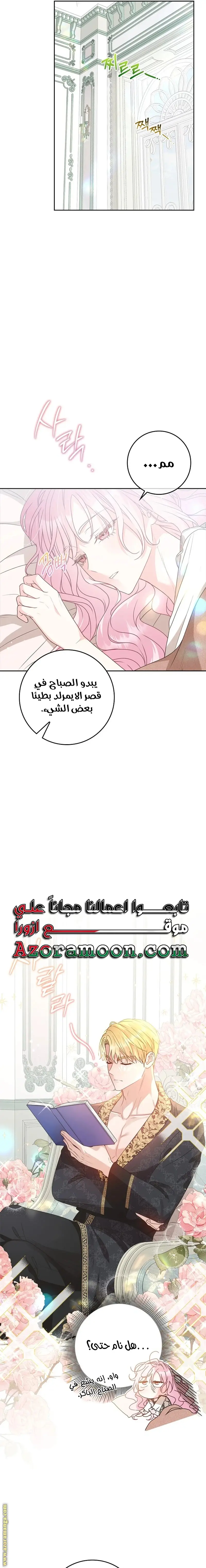 الصفحة 18