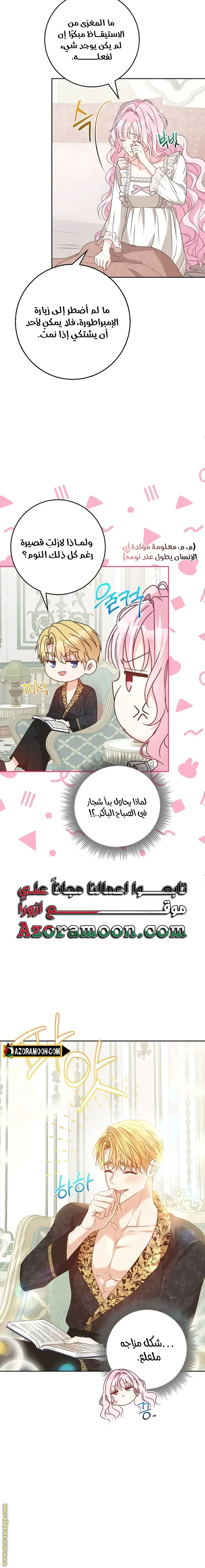 الصفحة 19