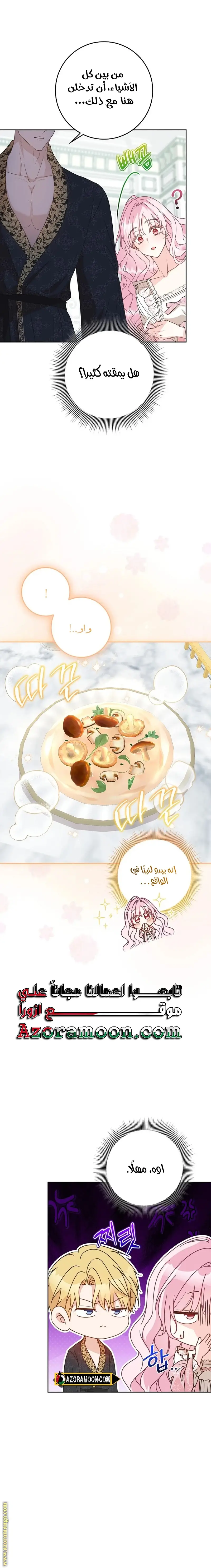 الصفحة 21