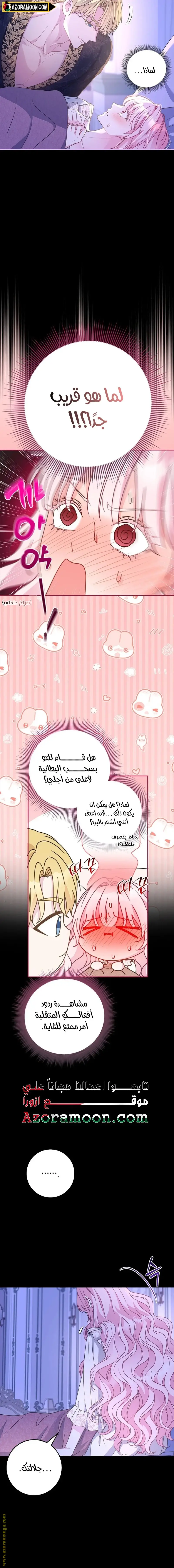 الصفحة 24
