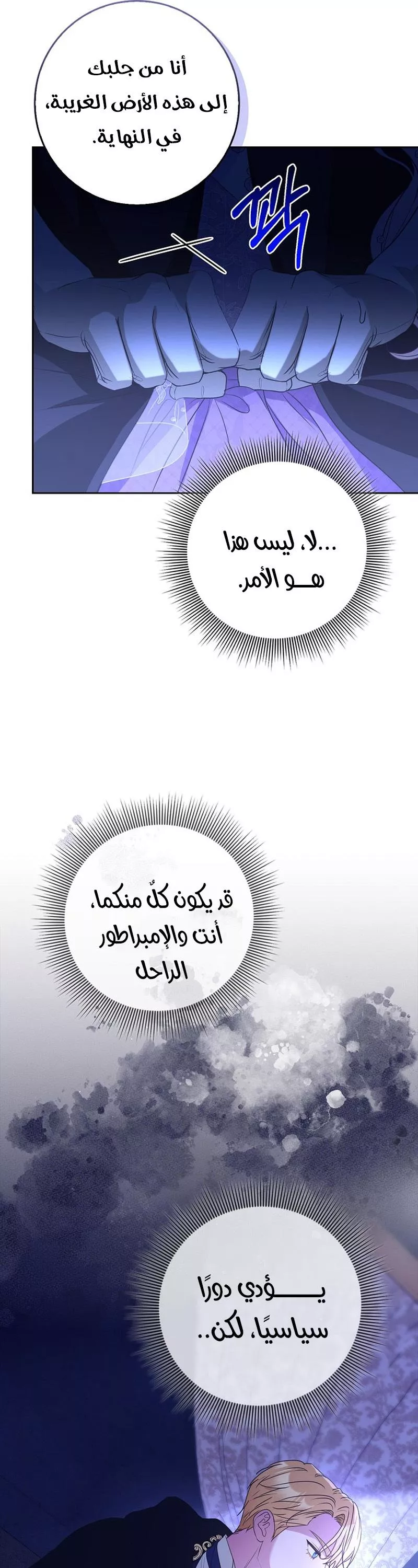 الصفحة 17
