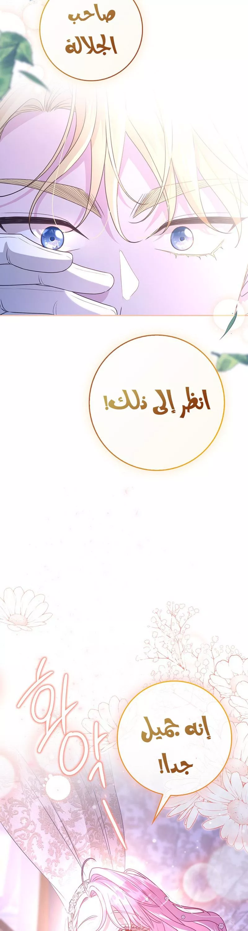 الصفحة 28