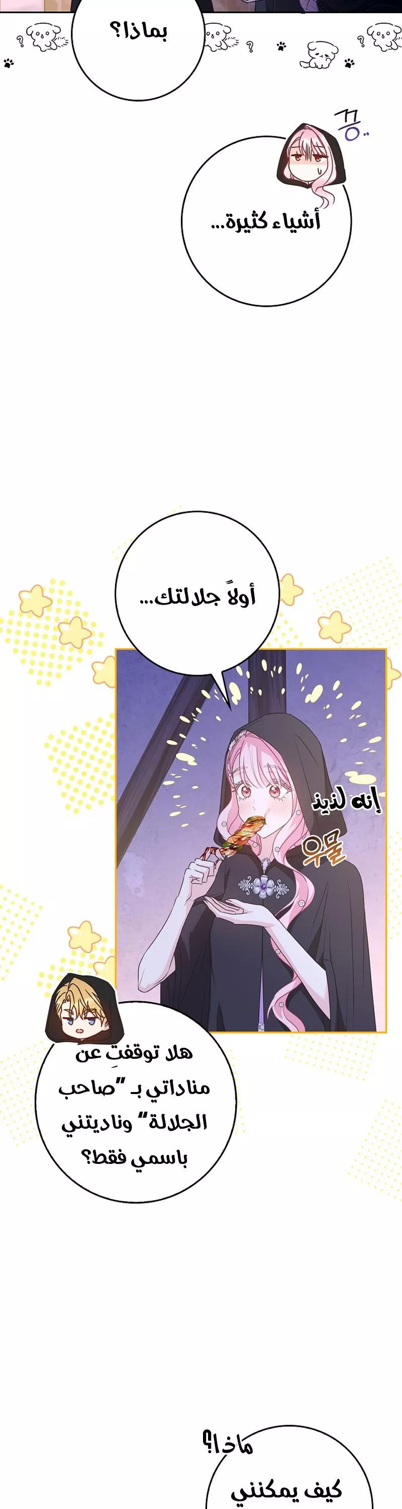 الصفحة 46