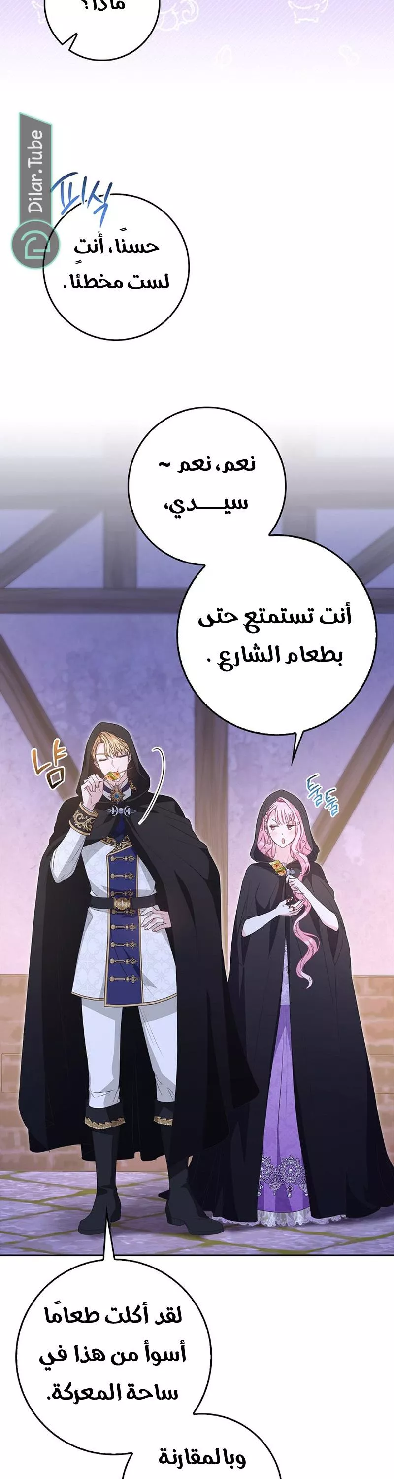 الصفحة 48