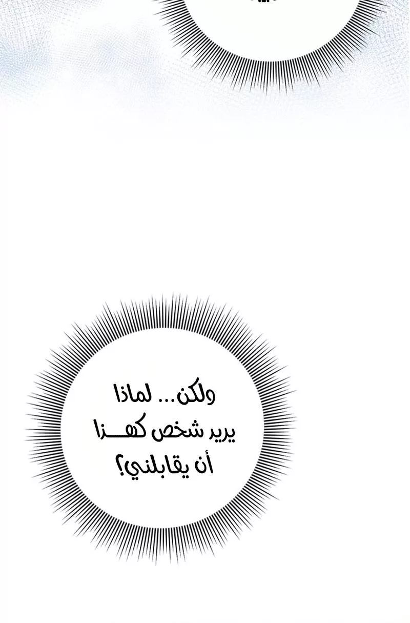 الصفحة 48