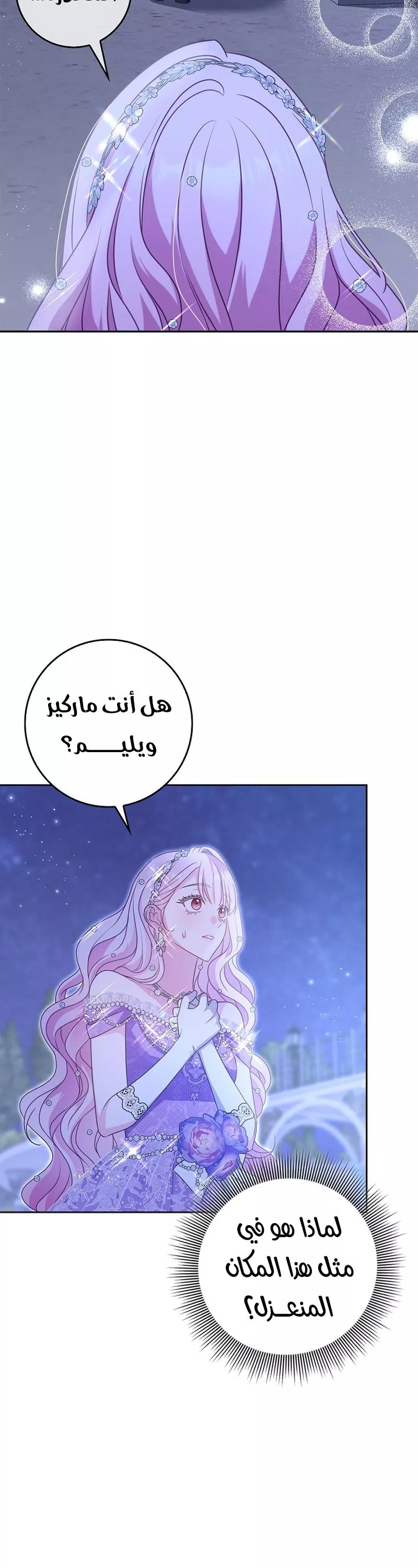 الصفحة 54