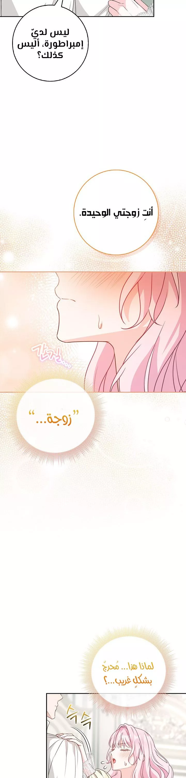 الصفحة 19