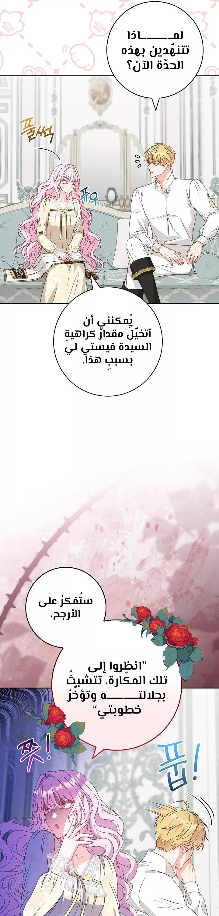 الصفحة 26