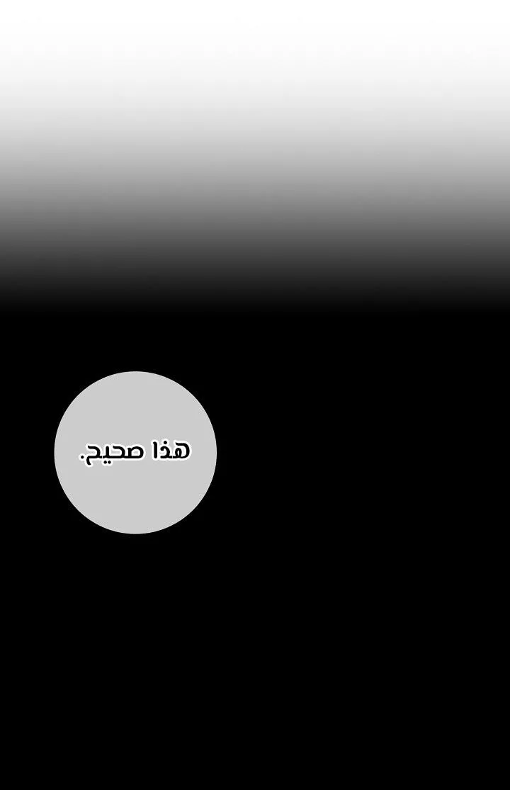 الصفحة 33