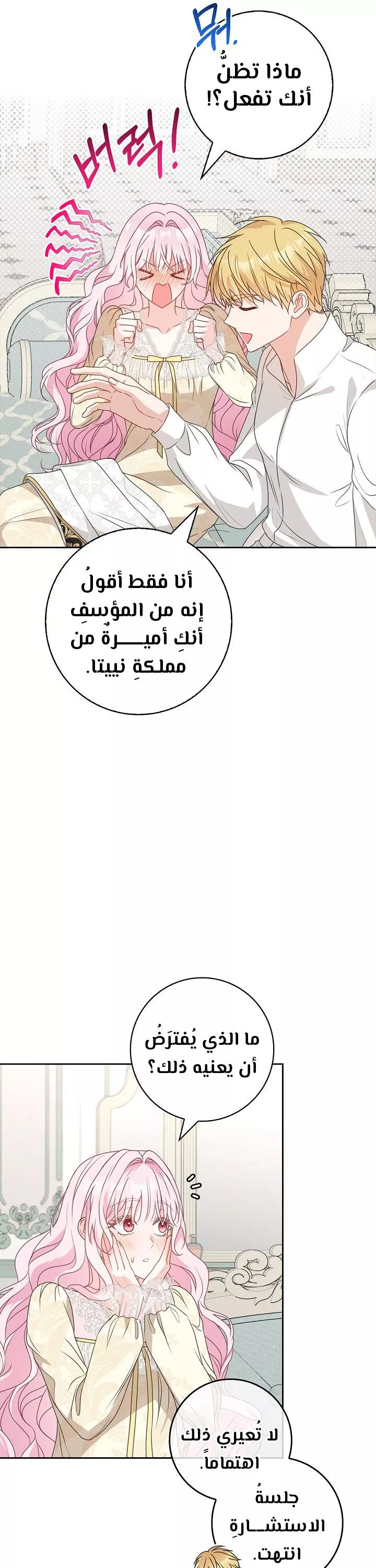 الصفحة 42