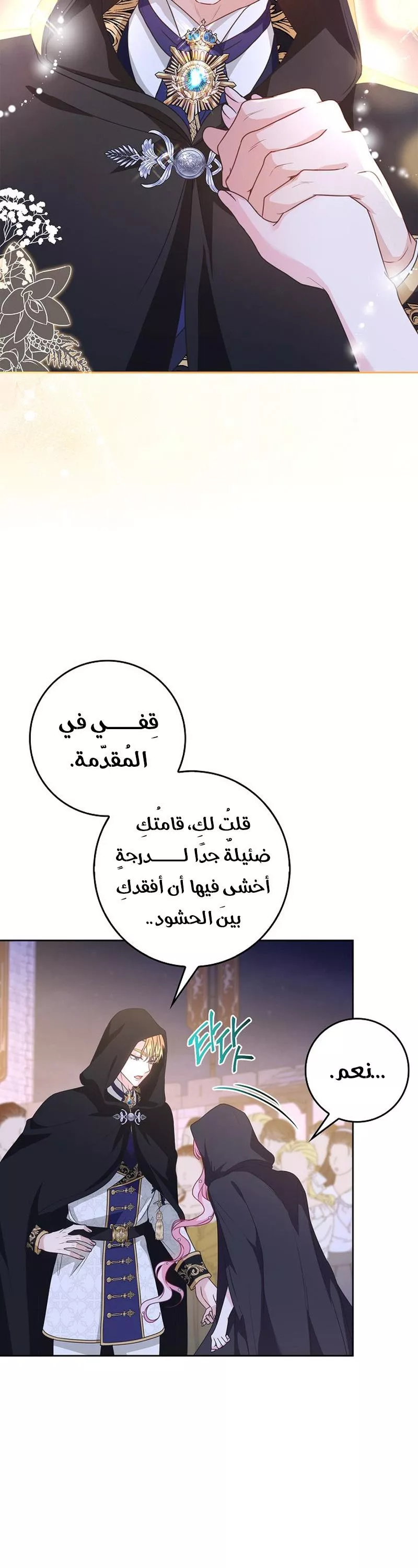 الصفحة 17