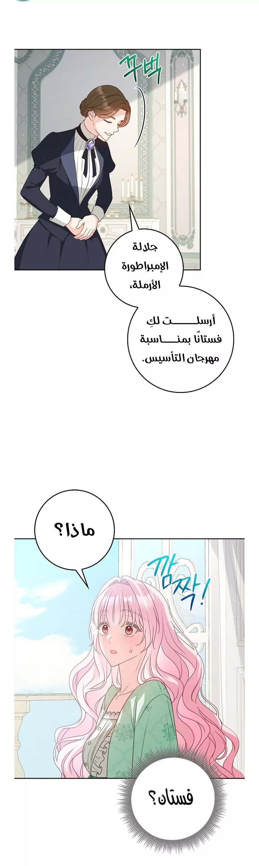 الصفحة 17