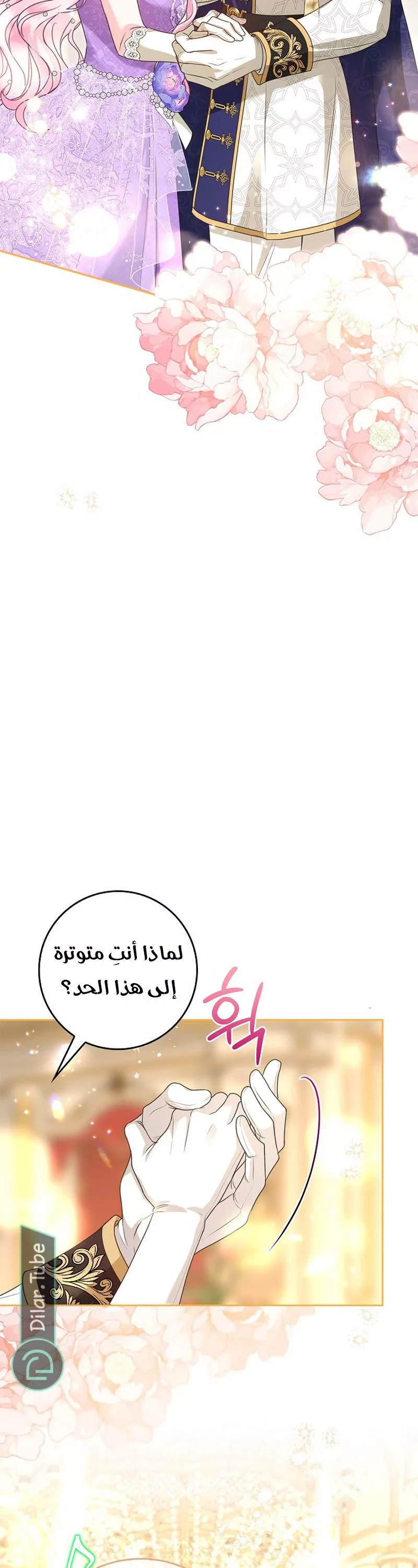 الصفحة 46