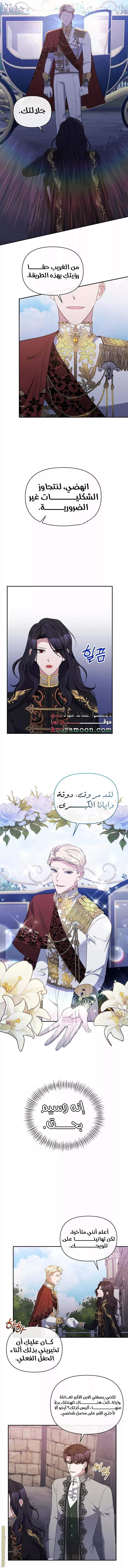 الصفحة 13