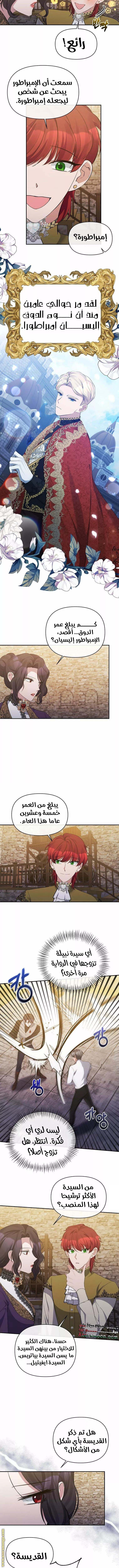 الصفحة 4