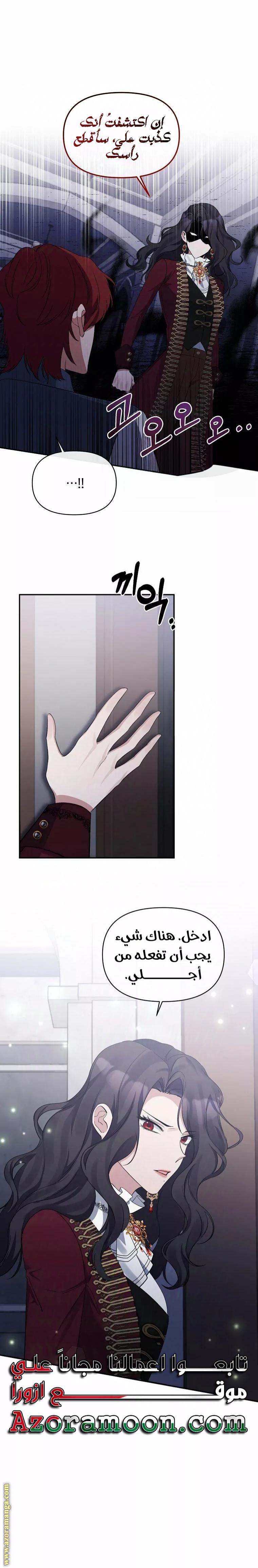 الصفحة 13