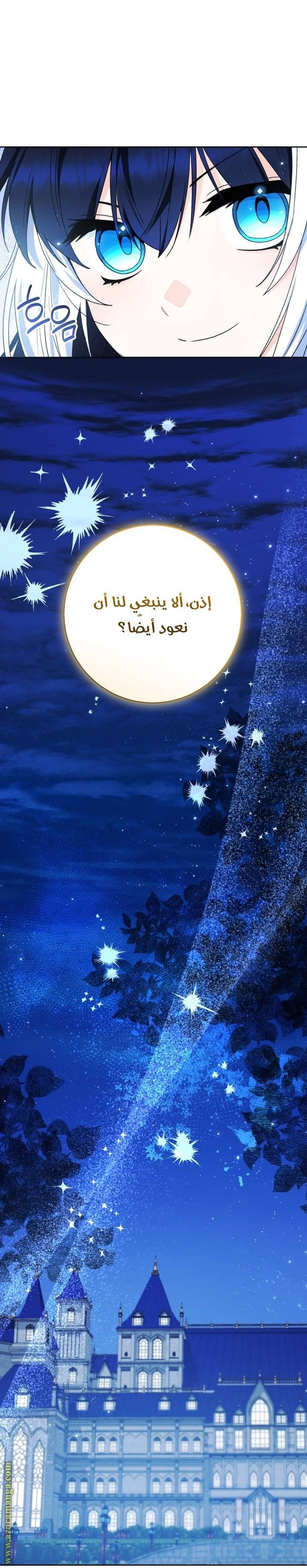 الصفحة 43