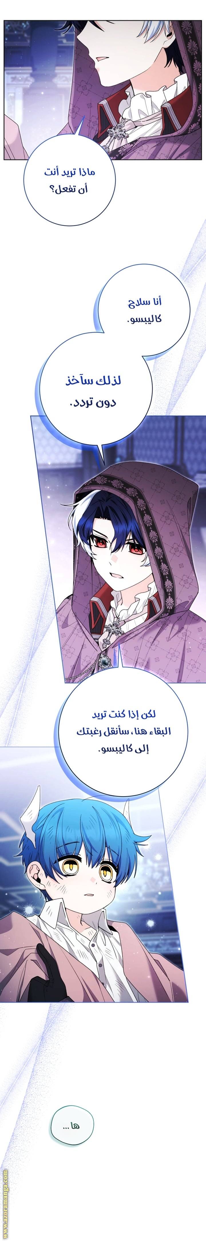 الصفحة 23