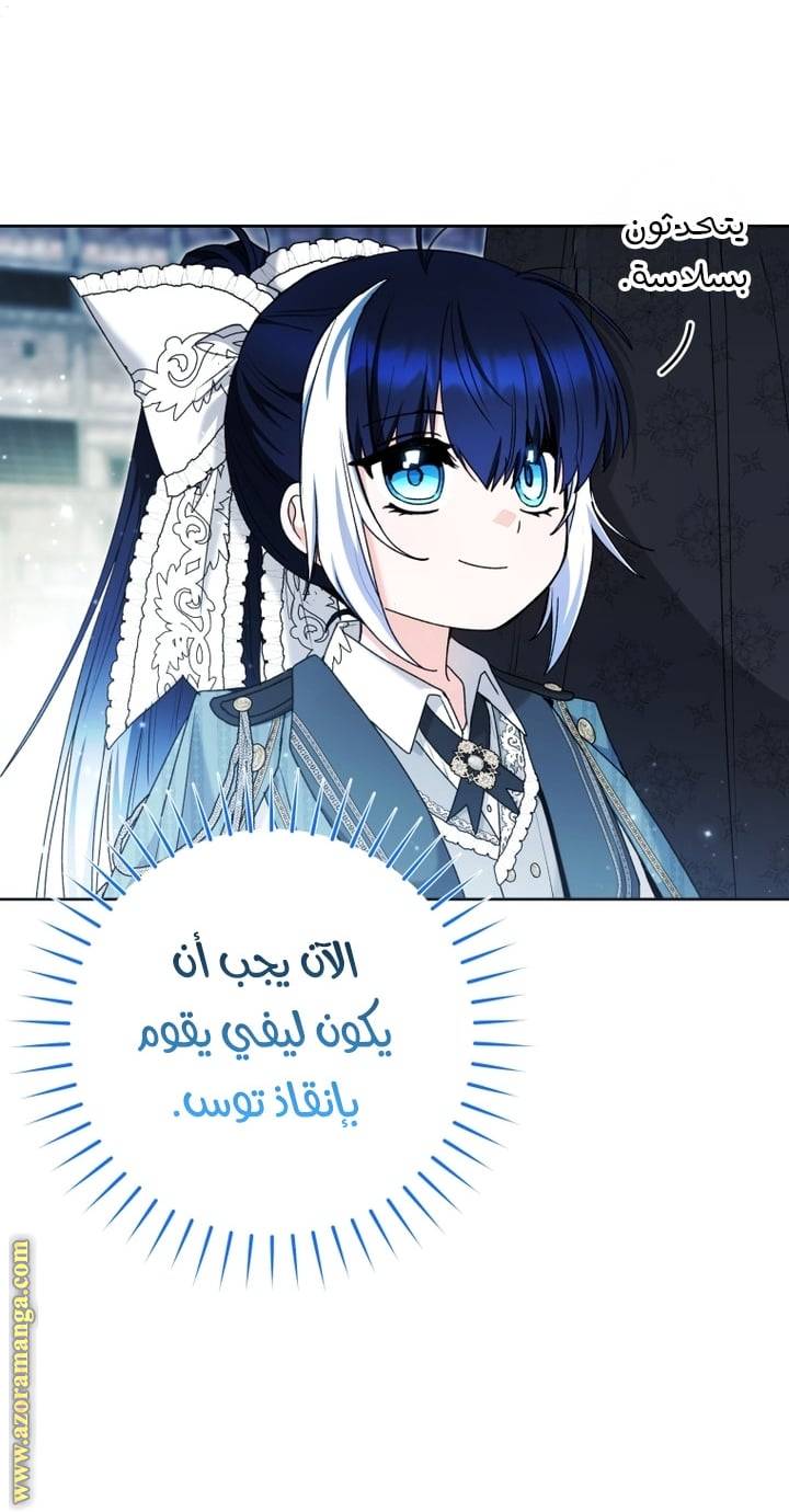 الصفحة 29