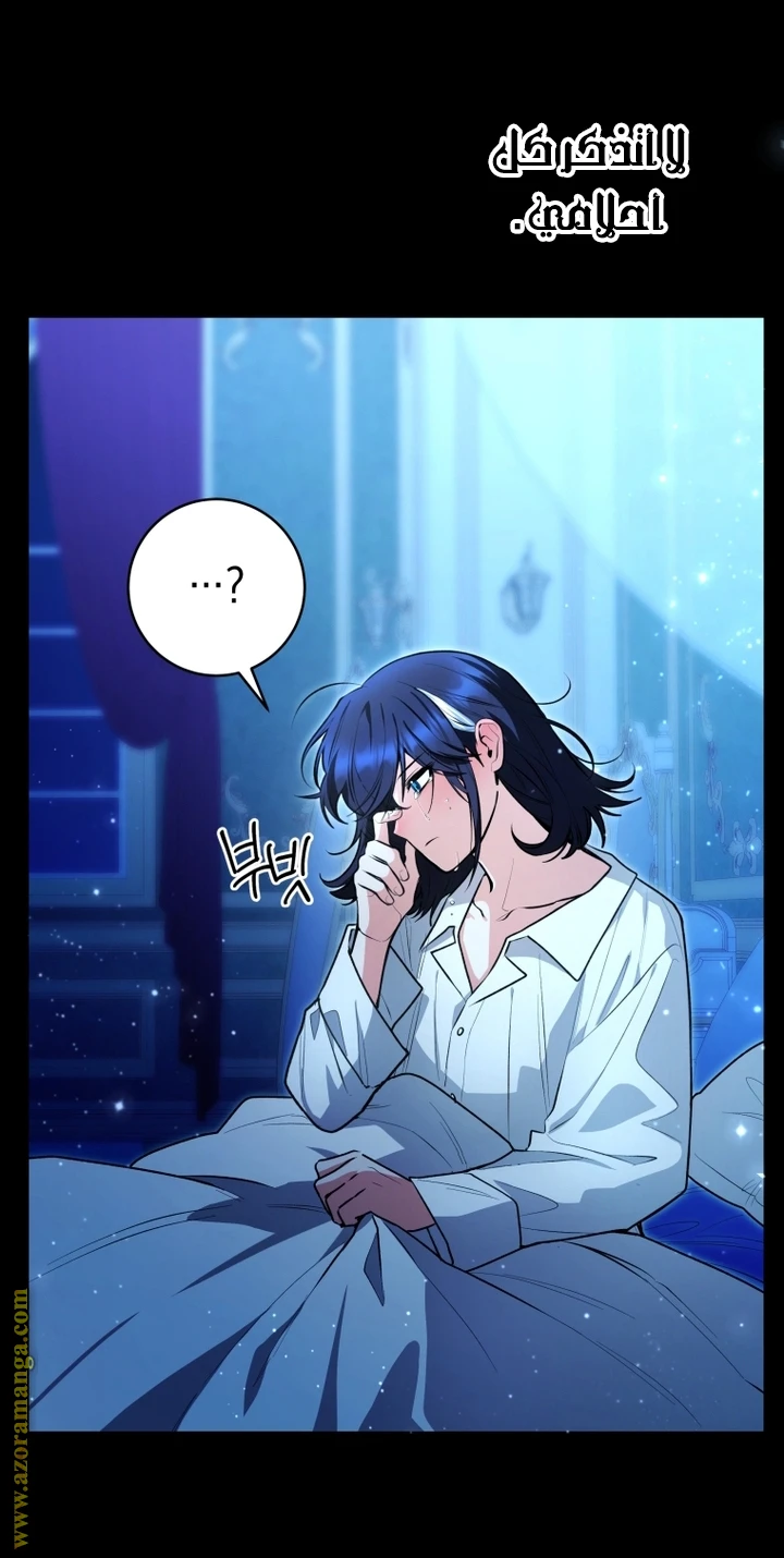 الصفحة 26