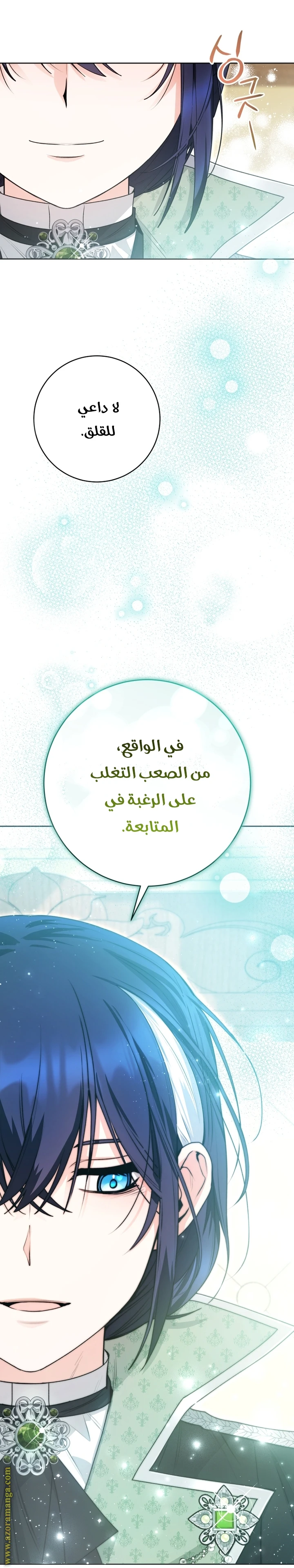 الصفحة 29