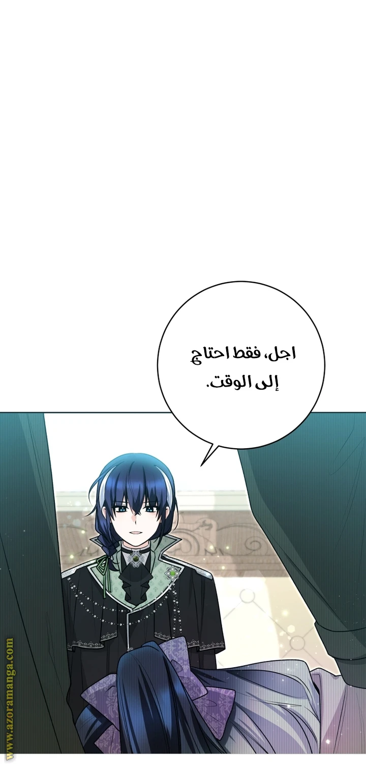 الصفحة 31